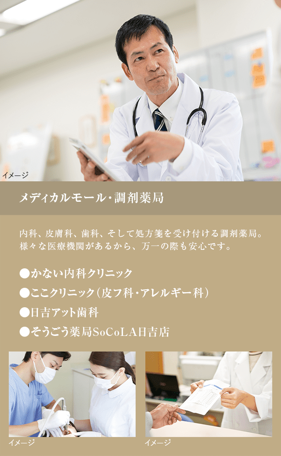 メディカルモール・調剤薬局●かない内科クリニック●ここクリニック（皮フ科・アレルギー科）●日吉アット歯科●そうごう薬局SoCoLA日吉店